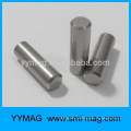 High quality alnico guitar magnet